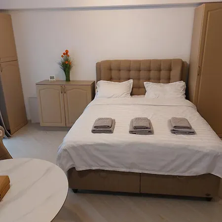 Apartament Garsoniera Zona Centrala *