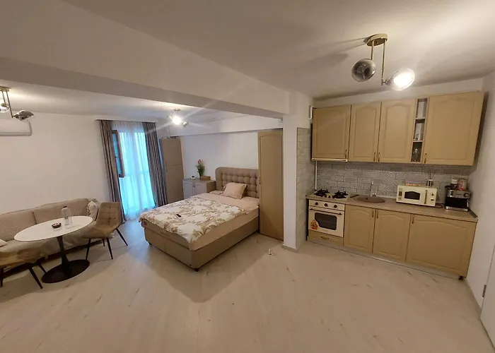 Garsoniera Zona Centrala *